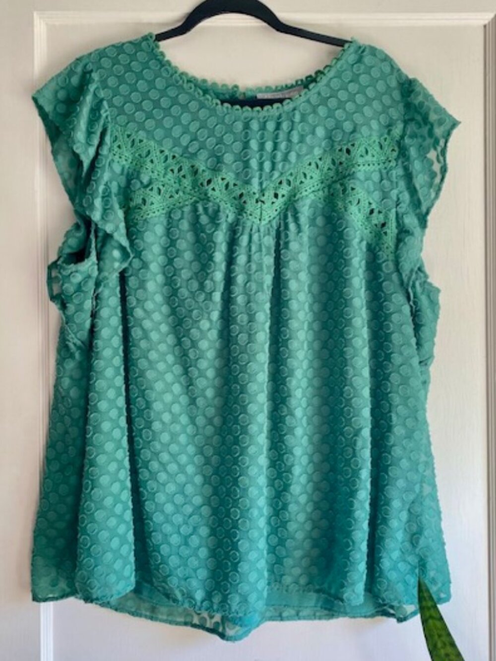 Anthropologie Daniel Rainn Women's Green Embroidered Blouse - Size 3X